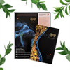 Symphony of the Cells™ Application Book & Body Systems Chart Bundle - GERMAN