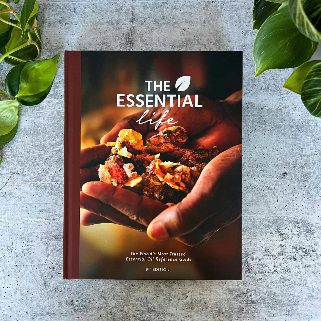 The Essential Life Book 9th Edition - ENGLISH