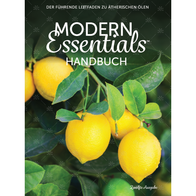 Modern Essentials Book - 12Th Edition Softcover German