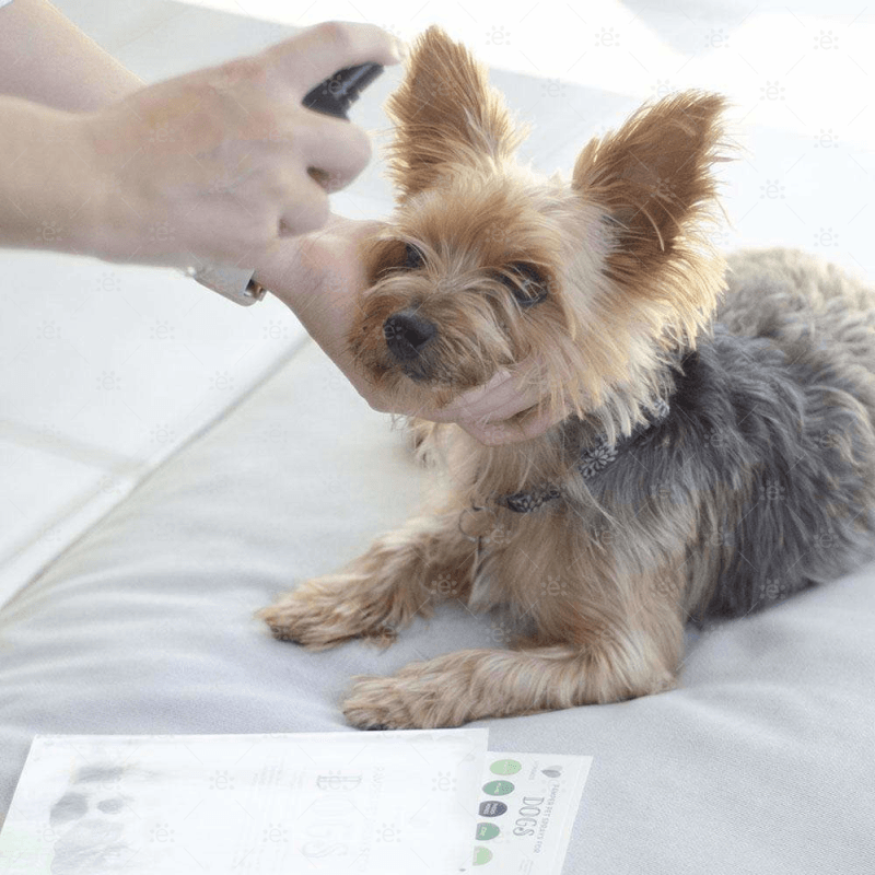 Mymakes:  Pamper Pet Sprays For Dogs - Label Sheet Labels