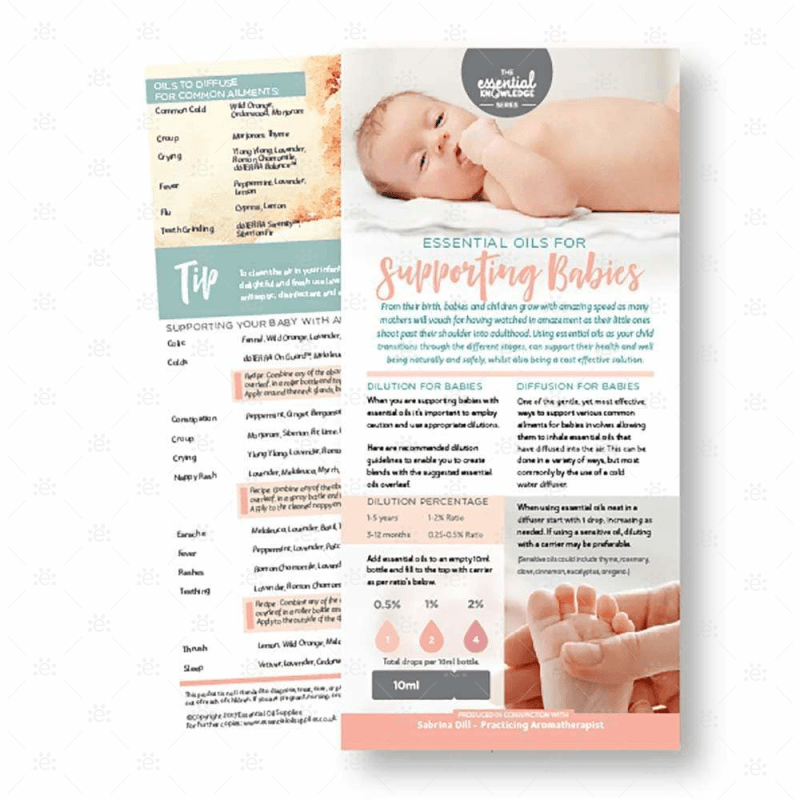Essential Knowledge Series:  Supporting Babies Rack Card (Single) Cards